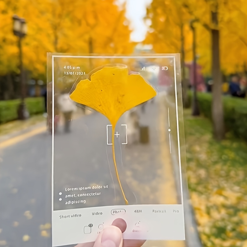 Пресовани цветя комплект 40 бр – ламинирани растения за декорация - Image 8
